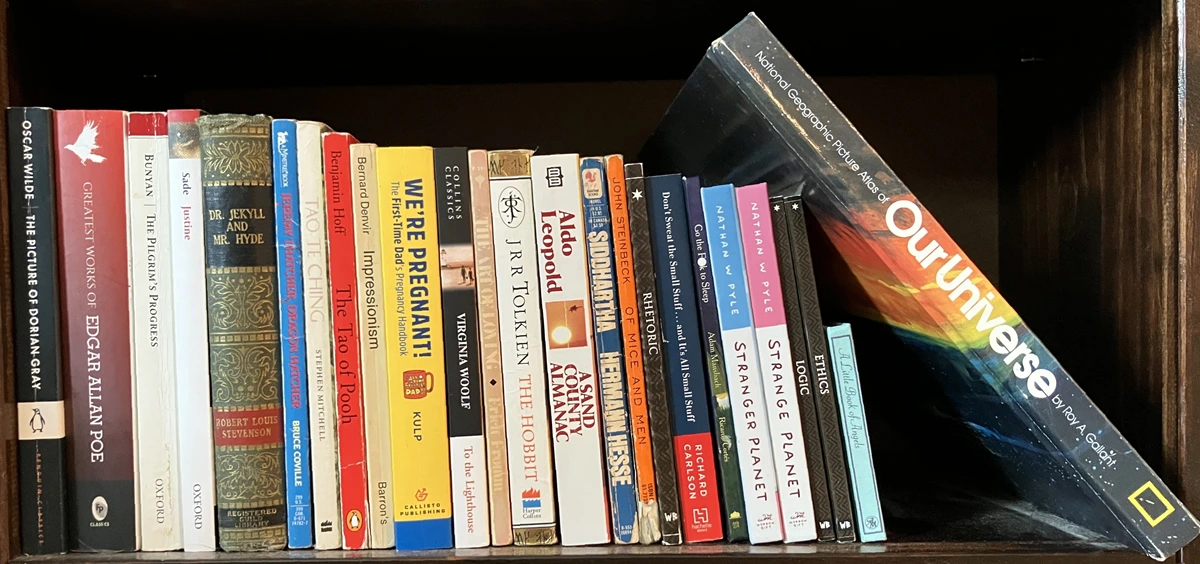 Bottom Shelf Zoom